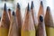 Yellow Pencil Tips in Macro
