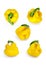 Yellow pepper series shots