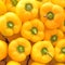 Yellow peppers top view closeup, seamless natural background