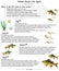 yellow perch life cycle template