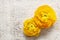 Yellow persian buttercup flowers (ranunculus) on wooden background.