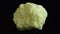 Yellow piece of native natural raw Sulfur slowly rotates around its axis against a dark background. Mineral of volcanic origin