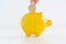 Yellow piggy bank isolated suggesting family savings concept