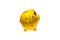 Yellow piggy Bank with money