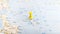 A yellow pin stuck in the island of skyros skiros on a map of Greece