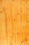 Yellow pine wood plank texture