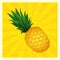 Yellow pineapple background- vector illustration