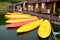 Yellow and pink canoes/kayaks in a row on waterside.