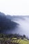 Yellow and pink peach blossom in the spring on the hillside, mountain fog cover