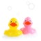 Yellow and pink rubber ducks