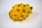 Yellow pitahaya on white background