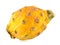 Yellow pitaya