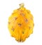 Yellow pitaya