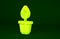 Yellow Plant in pot icon isolated on green background. Plant growing in a pot. Potted plant sign. Minimalism concept. 3d