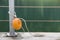 Yellow plastic buoy attached to a metal fence on the bank of a lake with green water