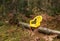 Yellow plastic chair without legs unexpectedly discovered in the middle of the forest