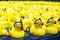 Yellow plastic ducks with scuba gear