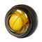 Yellow plastic gyroball. Exercise equipment for wrist. Sport tool