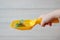 Yellow plastic scoop for cat litter cleaning whith the anthurium flower - nice scent and no smell concept.