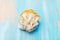 Yellow pleurotus on blue background