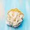 Yellow pleurotus on blue background