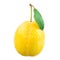 Yellow plum with drops on a white background.