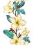 Yellow plumeria flower on a twig. Border illustration. Seamless floral pattern. Isolated on white background. Watercolor painting.