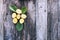 Yellow plums. Fresh ripe sweet fruits on old wooden boards rough background