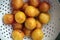 Yellow Plums Still Life