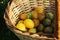 Yellow plums in a wicker basket on the grass in the sunlight. Farm harvest hand-picked.