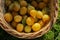 Yellow plums in a wicker basket on the grass in the sunlight. Farm harvest hand-picked.