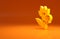 Yellow Poison flower icon isolated on orange background. Minimalism concept. 3d illustration 3D render