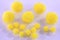 Yellow pompoms on a white background.