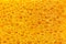 Yellow porous texture