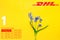 Yellow postal envelope with dhl logo and blue spring flowers. Fresh Scilla siberica flowers as a symbol of fast delivery. DHL is