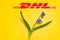 Yellow postal envelope with dhl logo and blue spring flowers. Fresh Scilla siberica flowers as a symbol of fast delivery. DHL is