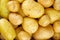 Yellow Potatoes Background