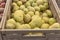 Yellow potatoes in plastic crate at market stand in Houston, Texas, USA