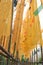 Yellow Prayer flags at Namchi in South Sikkim.