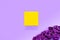 Yellow present box with branch of lilac on a purple background