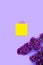 Yellow present box with branch of lilac on a purple background