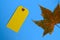 Yellow price tag and maple leaf on blue background with copy space. Autumn concept, sales concept.