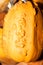 yellow pumpkin with growths on the skin