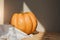 Yellow pumpkin on a light background with daylight shadow. Autumn composition. Halloween background