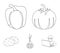 Yellow pumpkin, sweet red pepper, onion bitter, potatoes. Vegetables set collection icons in outline style vector symbol