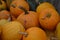 Yellow pumpkins. Harvesting. Autumn day. Preparing for the Halloween. Nature. Cucurbita