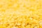 Yellow purified lentil macro background.