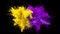 Yellow Purple Color Burst - Multiple colorful smoke explosions fluid alpha matte