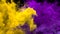 Yellow Purple Color Burst - Multiple colorful smoke explosions fluid alpha matte