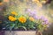 Yellow and purple garden flowers bunch on summer or autumn nature background